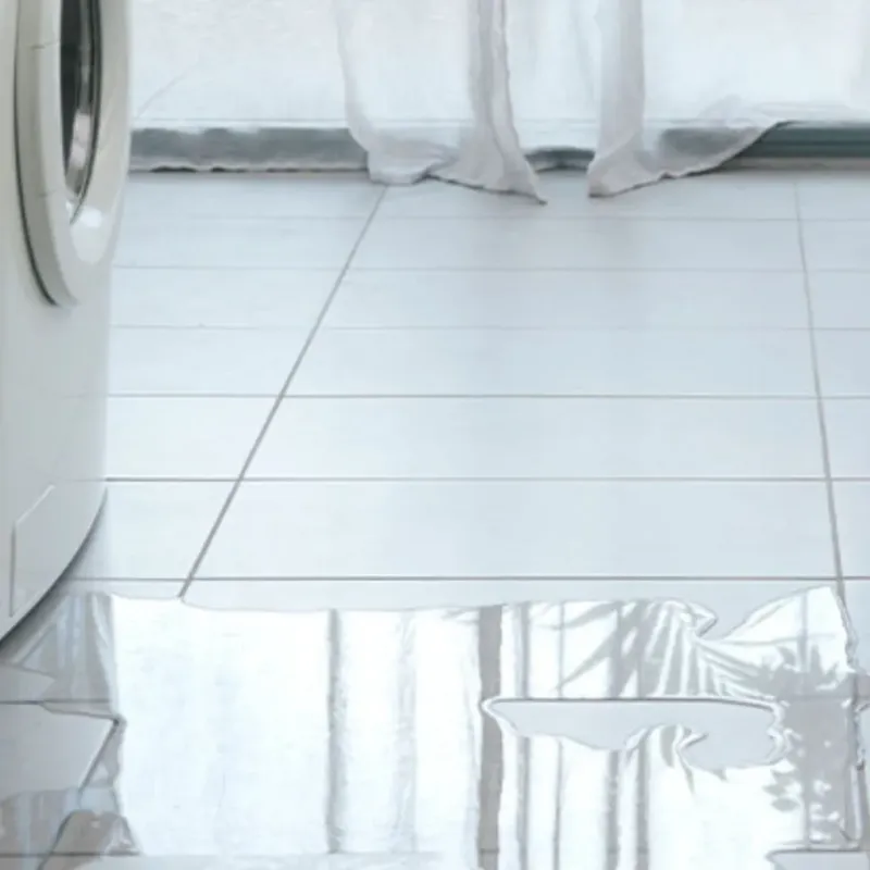 Appliance Leak Cleanup in Saint Anthony, ID