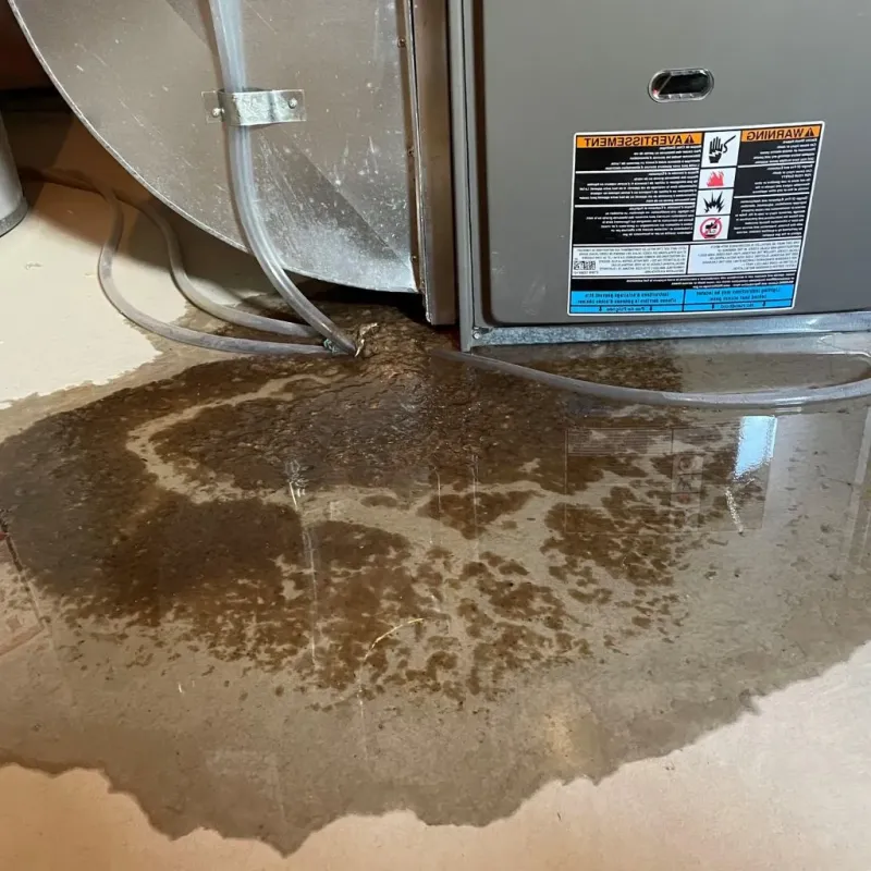 Pipe Burst and Leak Restoration in Saint Anthony, ID